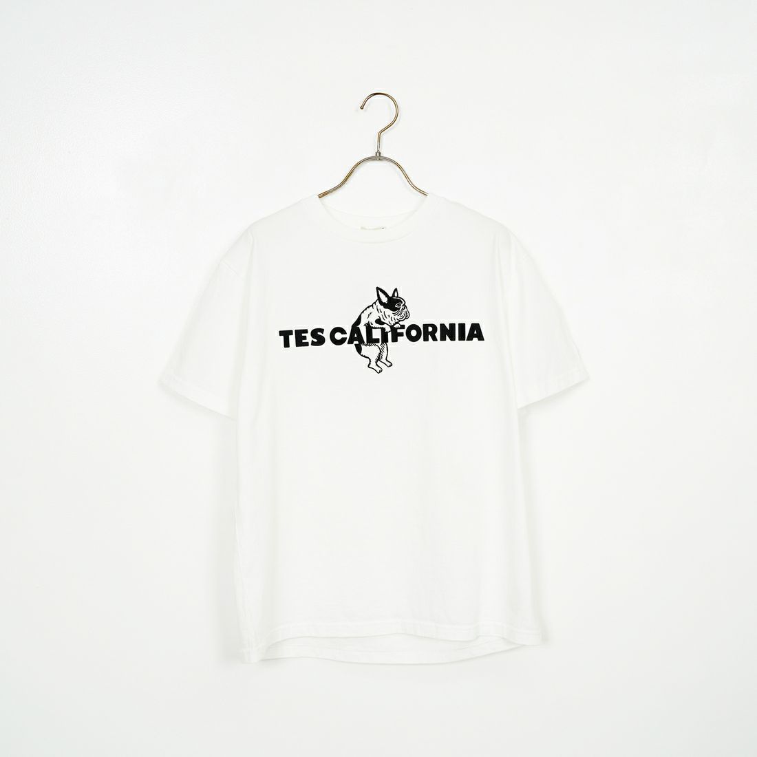 The Endless Summer [エンドレスサマー] 別注 TES CALフロッキーロゴプリントTシャツ [FH-25574504-JF] 07 WHITE