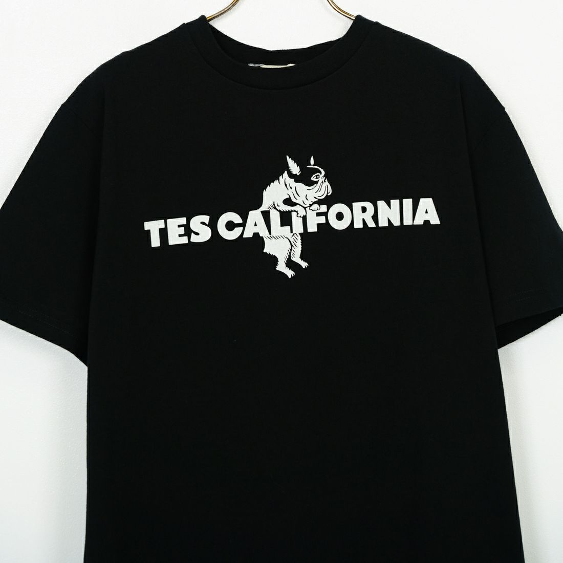 The Endless Summer [エンドレスサマー] 別注 TES CALフロッキーロゴプリントTシャツ [FH-25574504-JF] 01 BLACK