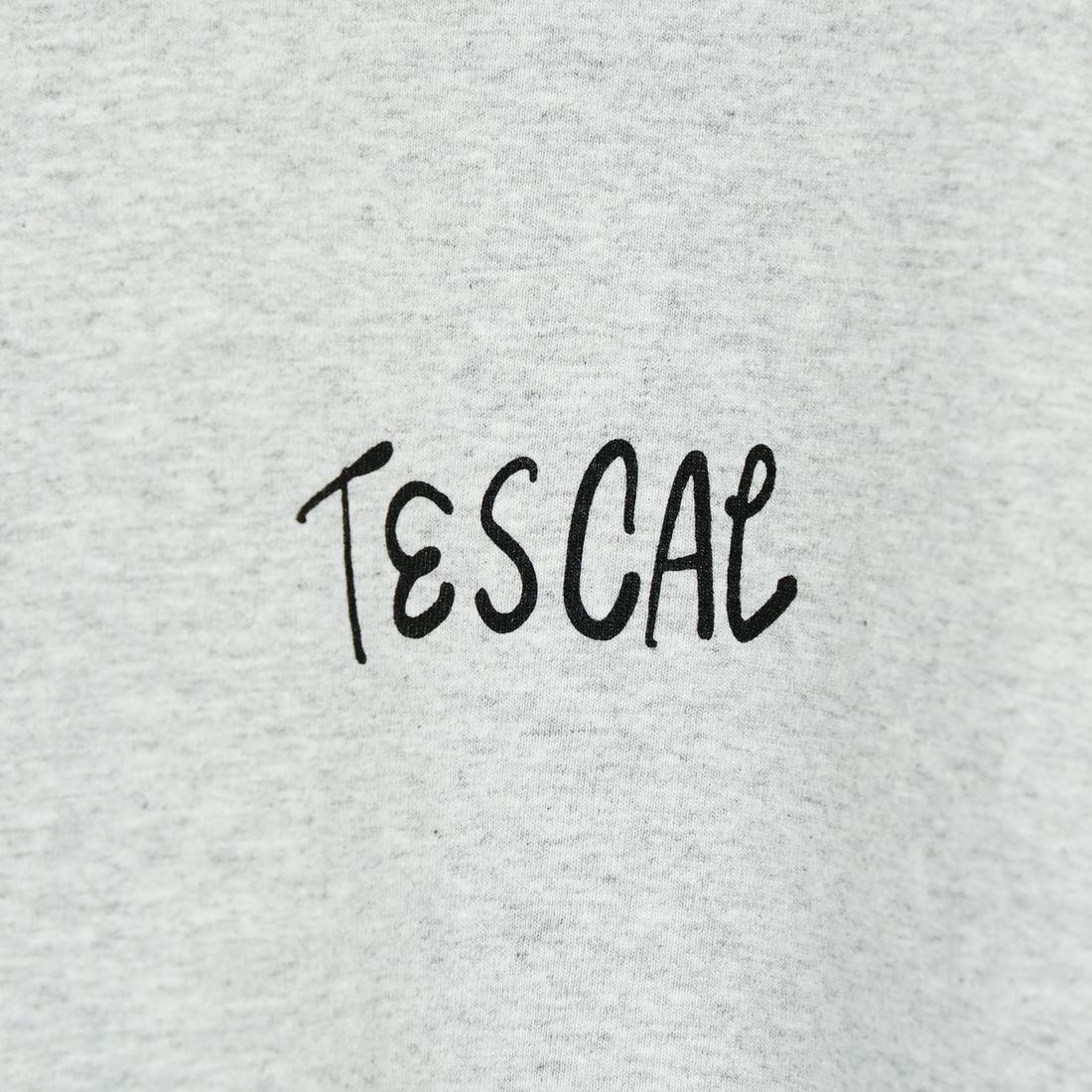 The Endless Summer [エンドレスサマー] 別注 手書き風ロゴ BUHIバックプリント カットオフTシャツ [FH-25574508-JF] MIX GRAY