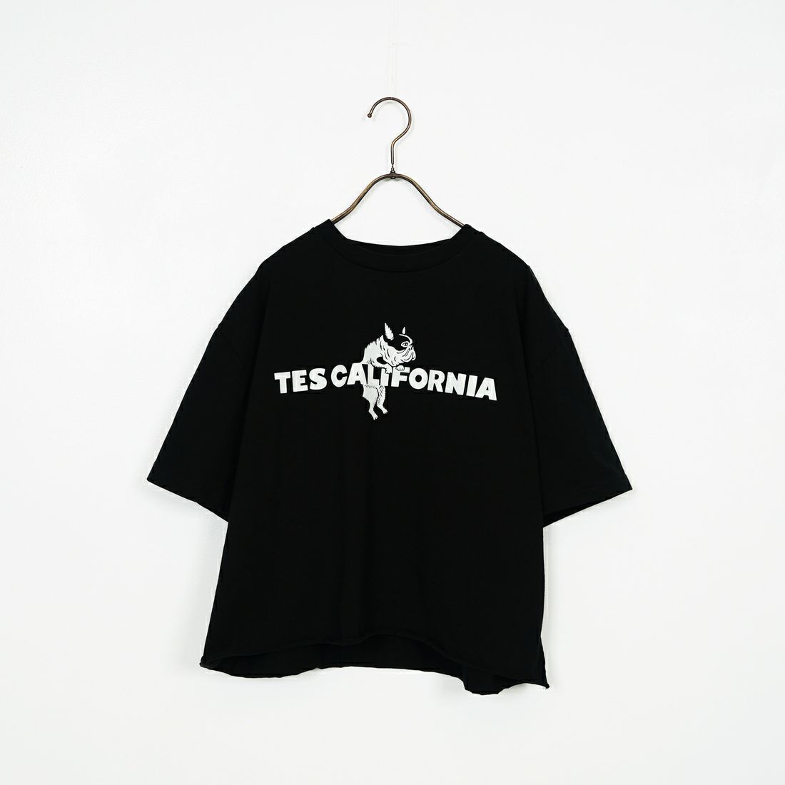 The Endless Summer [エンドレスサマー] 別注 TES CALフロッキーロゴプリント カットオフTシャツ [FH-25574509-JF] BLACK