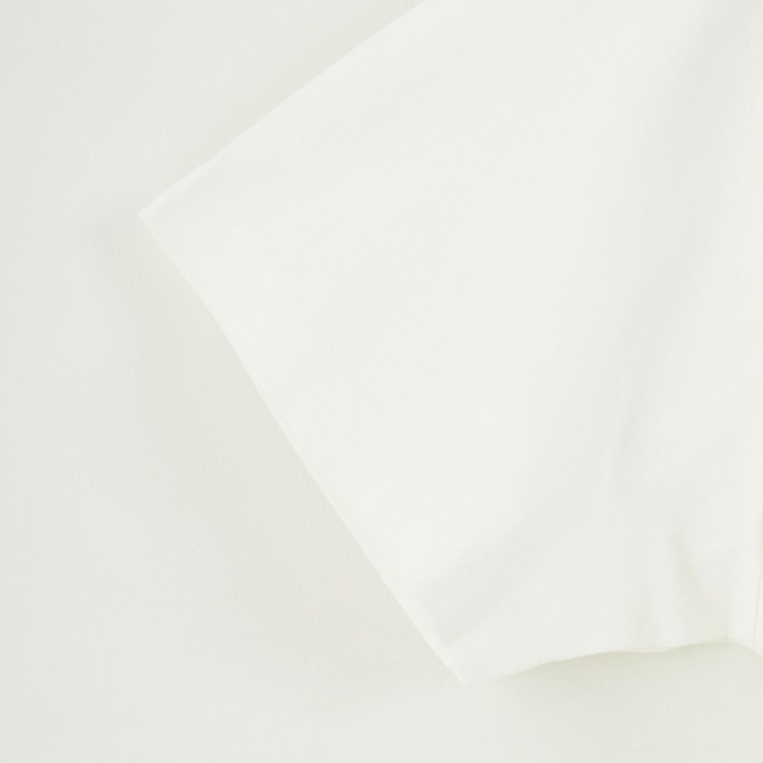 CHUMS [チャムス] かせきさいだぁ アラカルトTシャツ [CH11-2555] W001 WHITE
