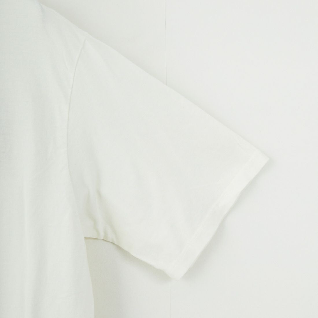 patagonia [パタゴニア] メンズ '73 スカイライン オーガニック Tシャツ [37534]BCW