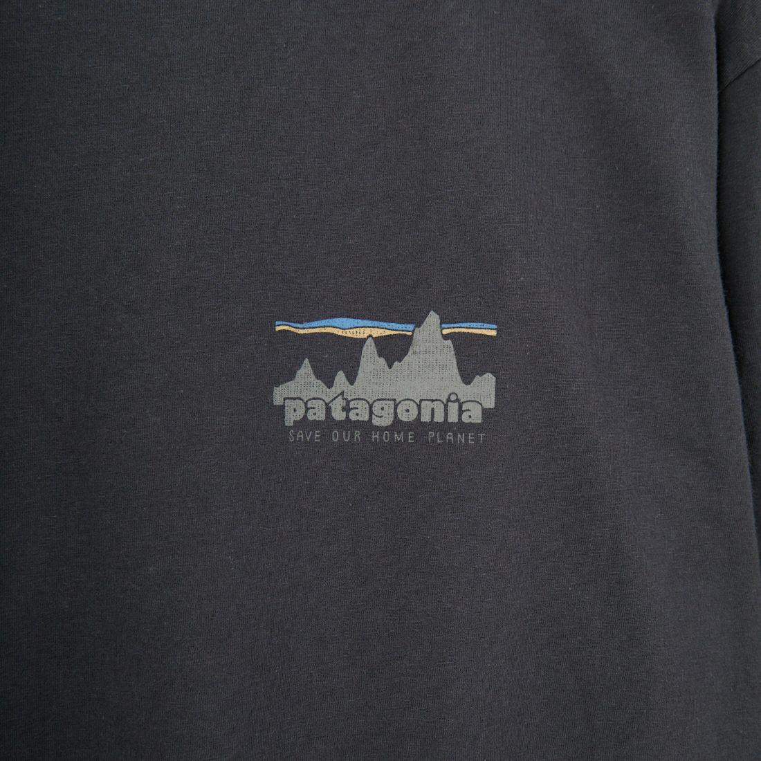 patagonia [パタゴニア] メンズ '73 スカイライン オーガニック Tシャツ [37534]INBK
