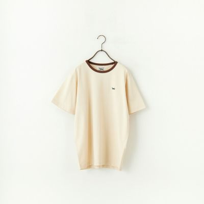 BEG/BROWN