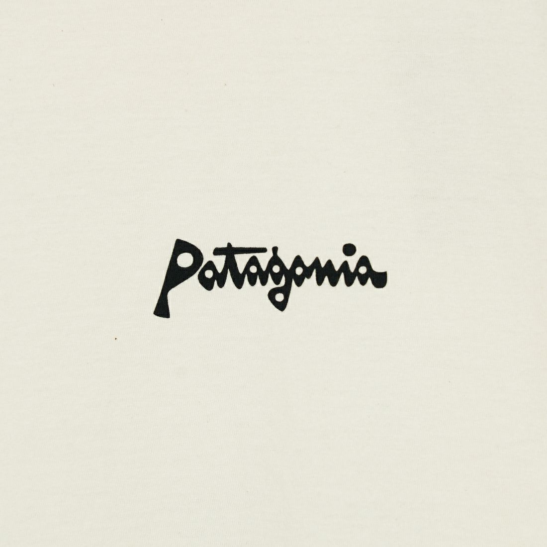 patagonia [パタゴニア] メンズ アクアティック アクション オーガニック Tシャツ [37801] LFNL