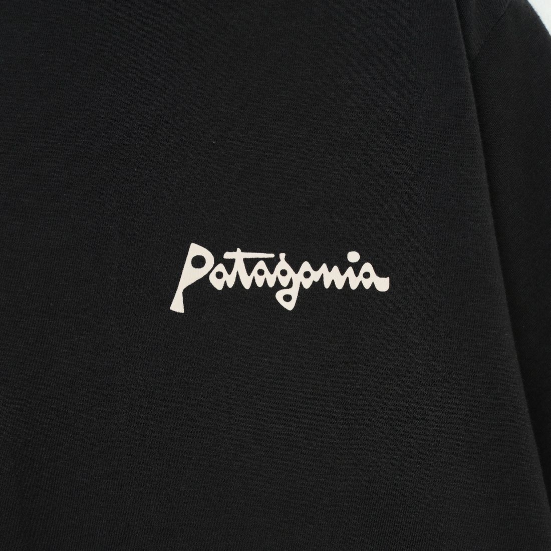 patagonia [パタゴニア] メンズ アクアティック アクション オーガニック Tシャツ [37801] LFIN