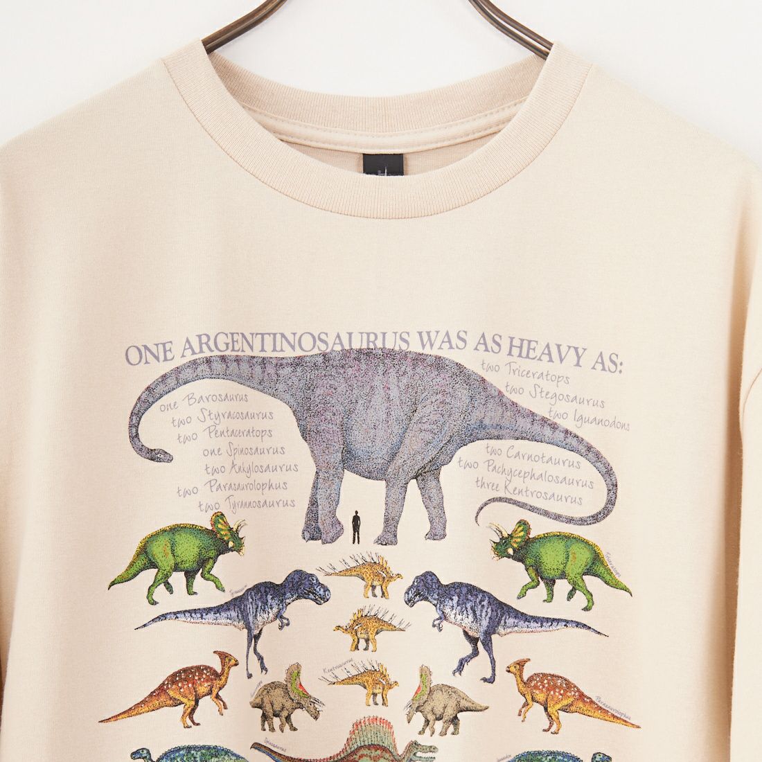 LIBERTY GRAPHICS [リバティーグラフィックス] ワンダイナソープリントTシャツ [ONE-DINOSAUR-IS] STONE