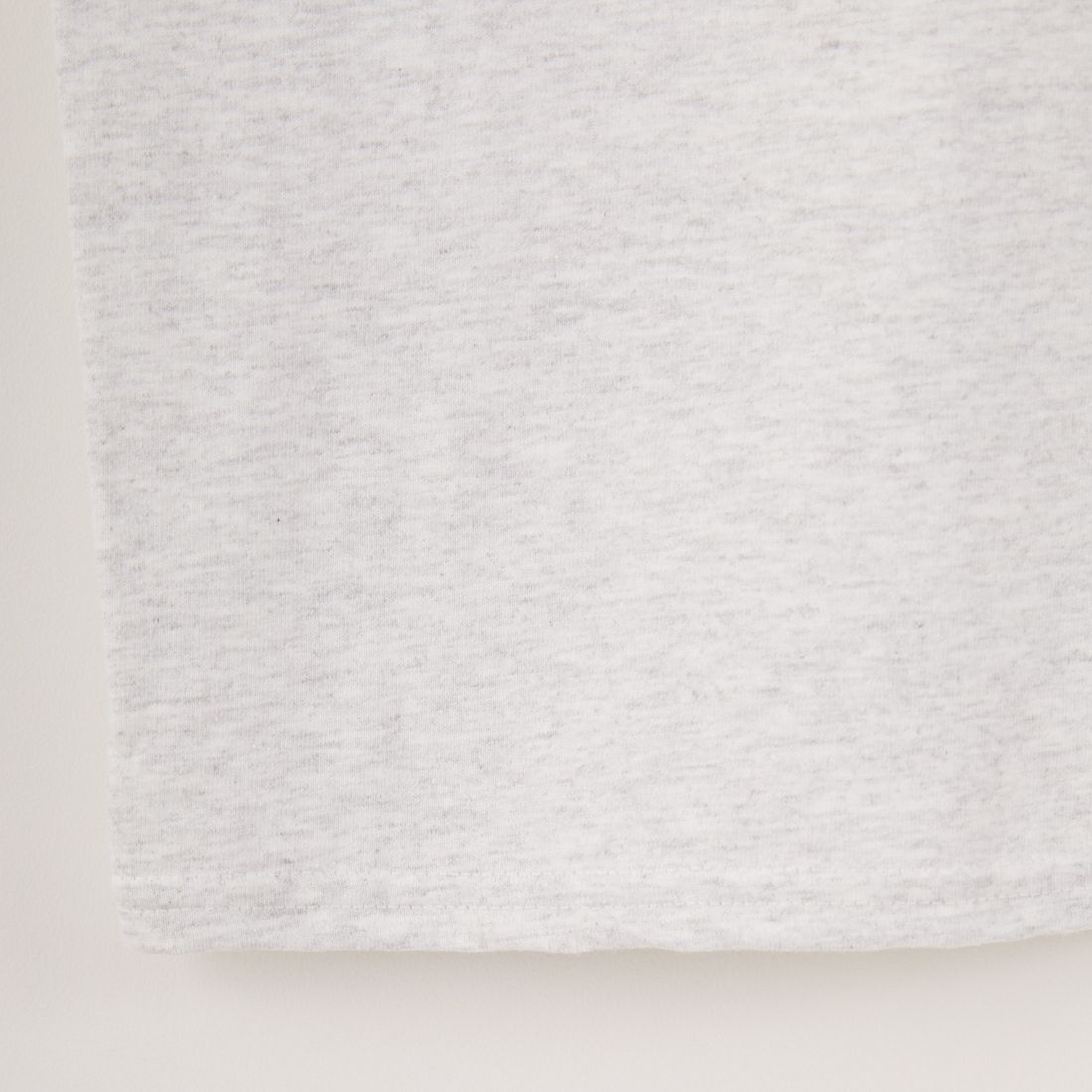 LIBERTY GRAPHICS [リバティーグラフィックス] ワイルドケイナインプリントTシャツ [WILD-CANINES] ASH