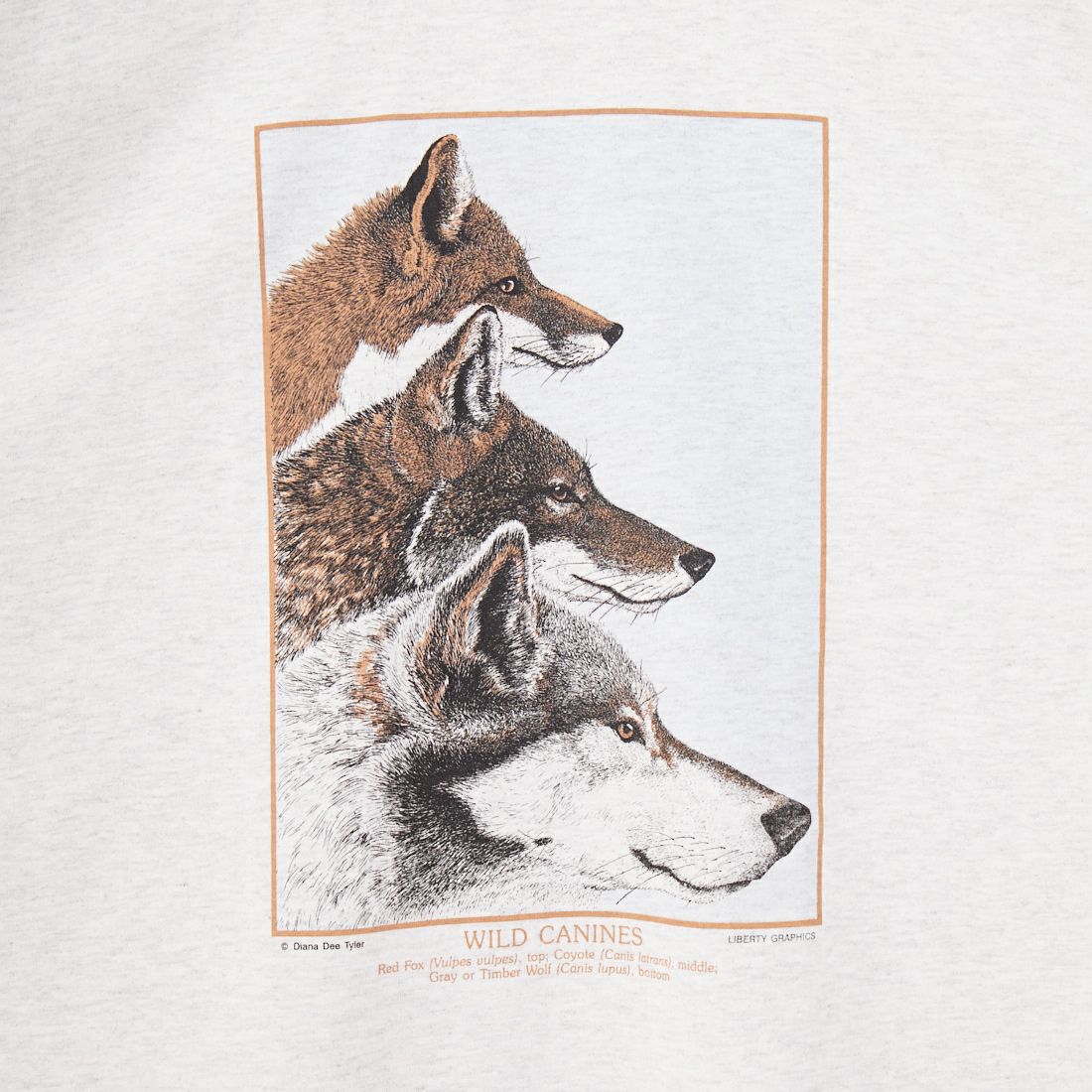 LIBERTY GRAPHICS [リバティーグラフィックス] ワイルドケイナインプリントTシャツ [WILD-CANINES] ASH