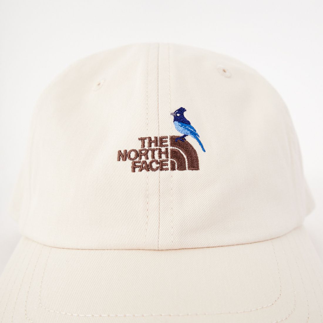 THE NORTH FACE [ザ ノースフェイス] キッズ スモールロゴキャップ [NNJ02407] GG