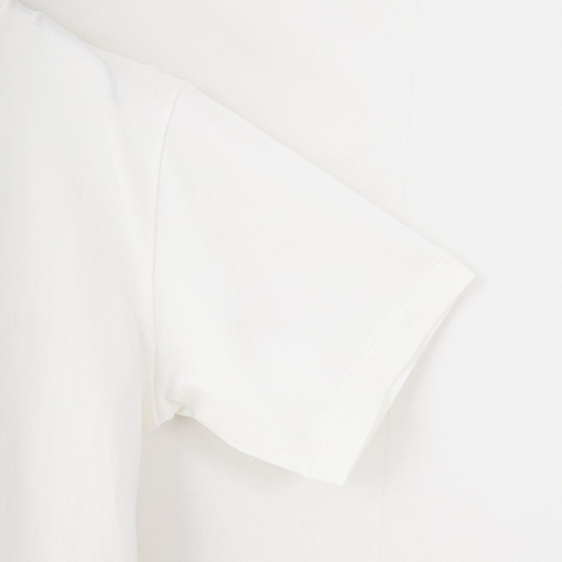 blurhms ROOTSTOCK [ブラームス ルーツストック] BD ワイドプリントTシャツ [BROOTS25S34C] 13 WHT/BLK