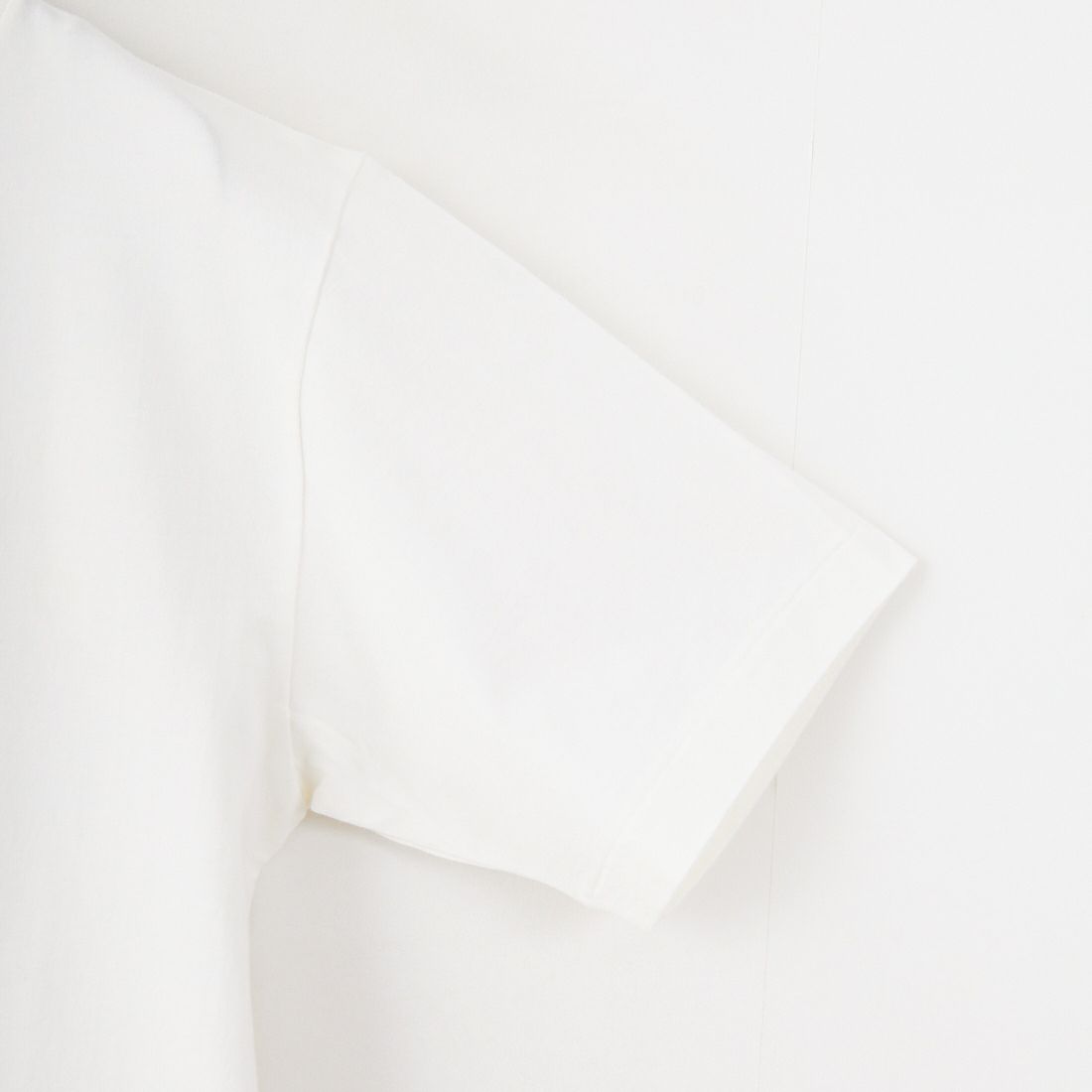 blurhms ROOTSTOCK [ブラームス ルーツストック] COAL スタンダードプリントTシャツ [BROOTS25S33D] 01 WHITE