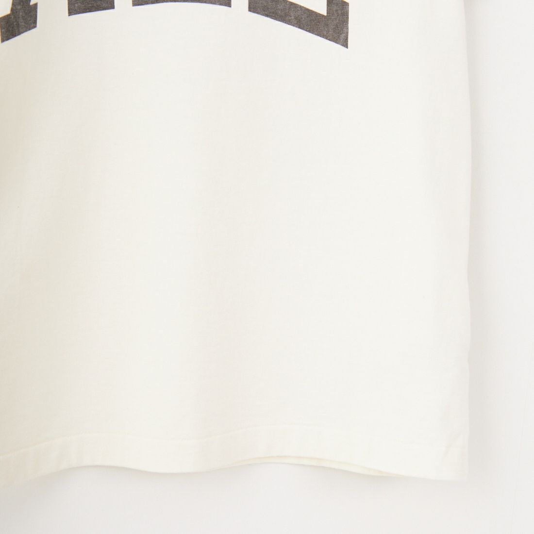 blurhms ROOTSTOCK [ブラームス ルーツストック] ALE-Y 88/12スタンダードプリントTシャツ [BROOTS25S35A] 01 IVORY