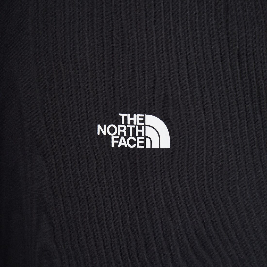 THE NORTH FACE [ザ ノースフェイス] ショートスリーブ フラッシュドライグローブグリッドコットンTシャツ [NT32550] K