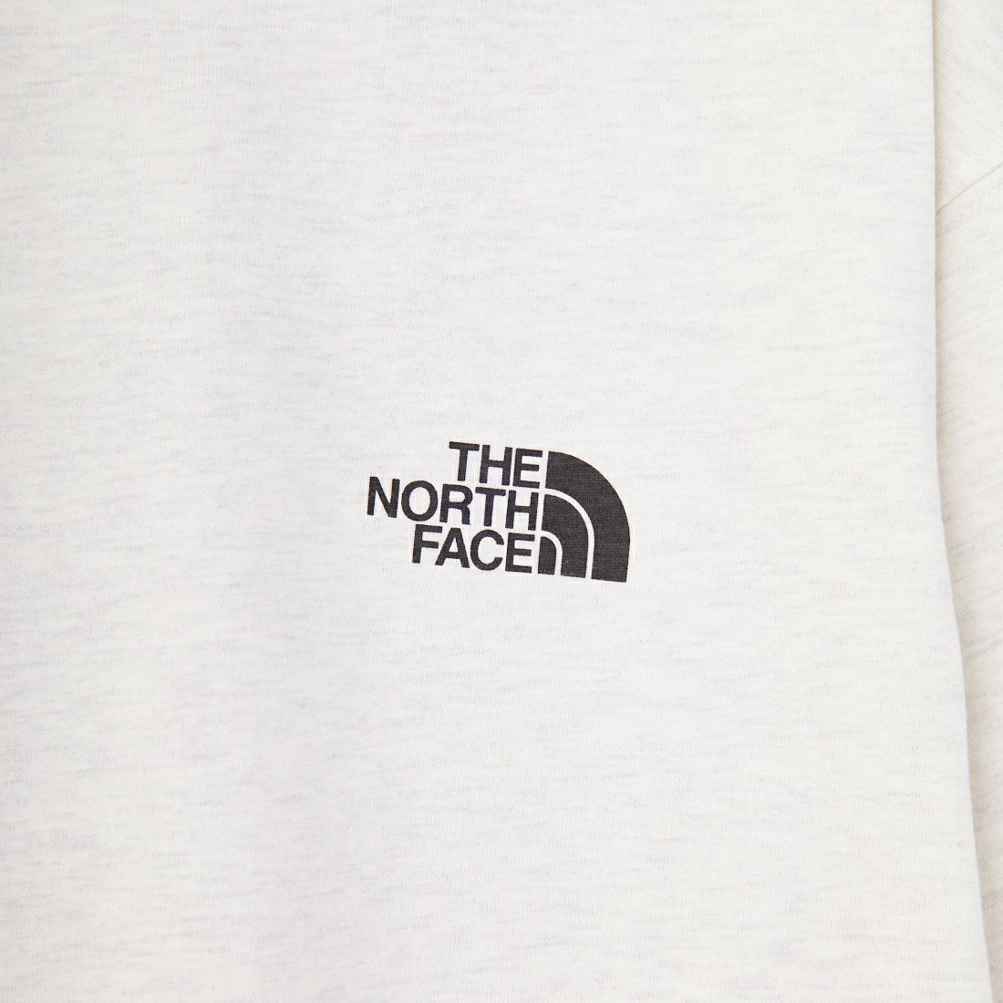 THE NORTH FACE [ザ ノースフェイス] ショートスリーブ フラッシュドライグローブグリッドコットンTシャツ [NT32550] WX