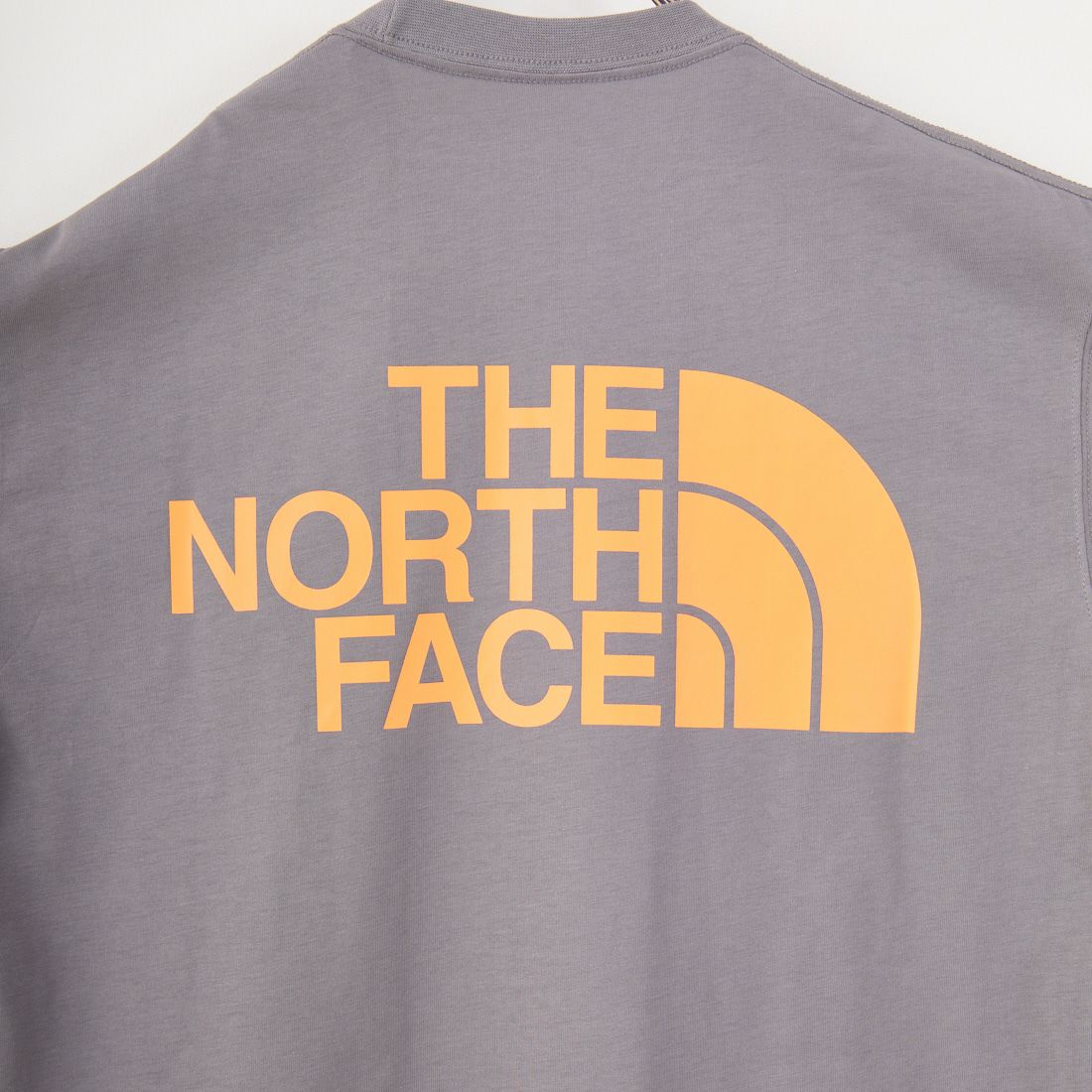 THE NORTH FACE [ザ ノースフェイス] ショートスリーブ フラッシュドライカラースキームコットンTシャツ [NT32548] SP