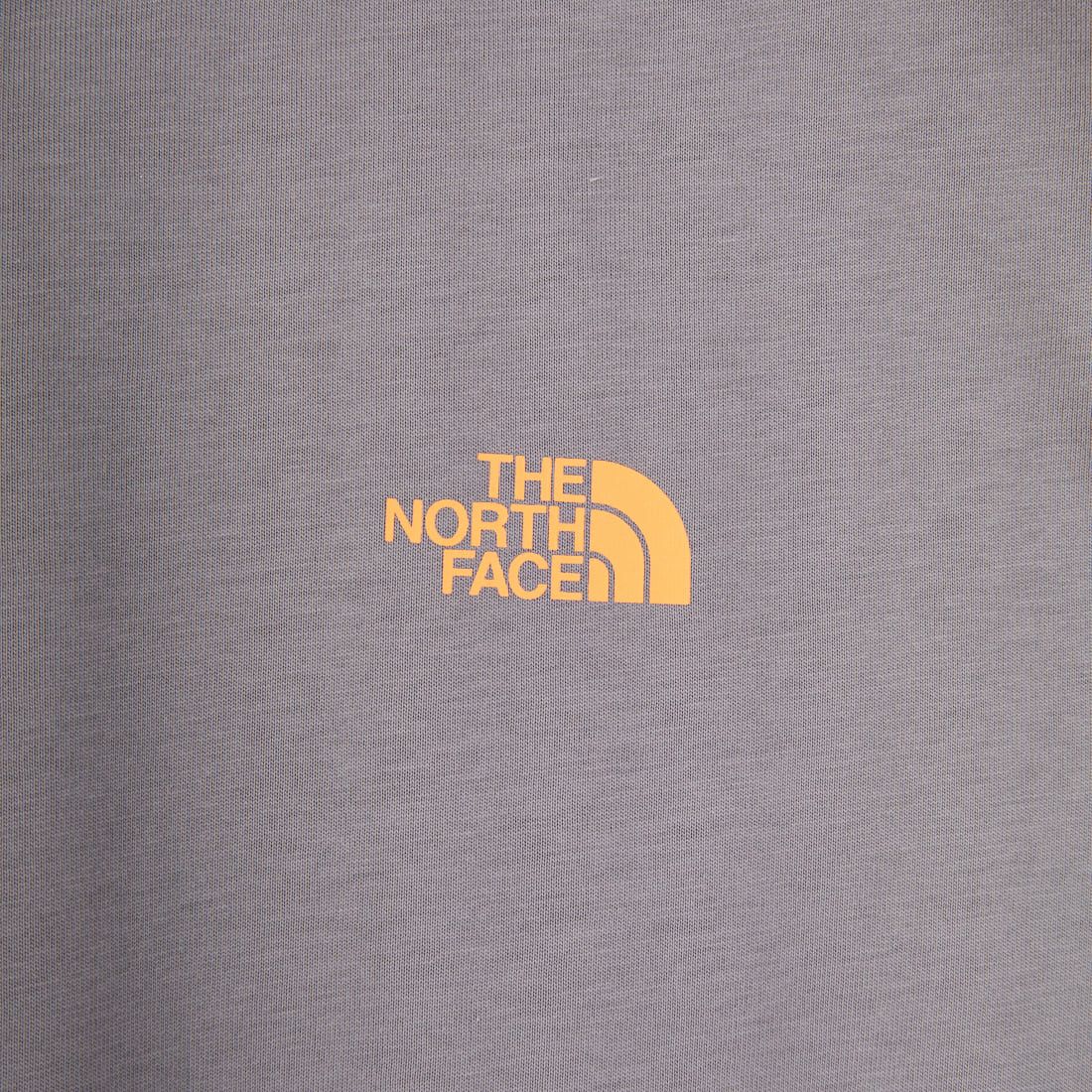 THE NORTH FACE [ザ ノースフェイス] ショートスリーブ フラッシュドライカラースキームコットンTシャツ [NT32548] SP