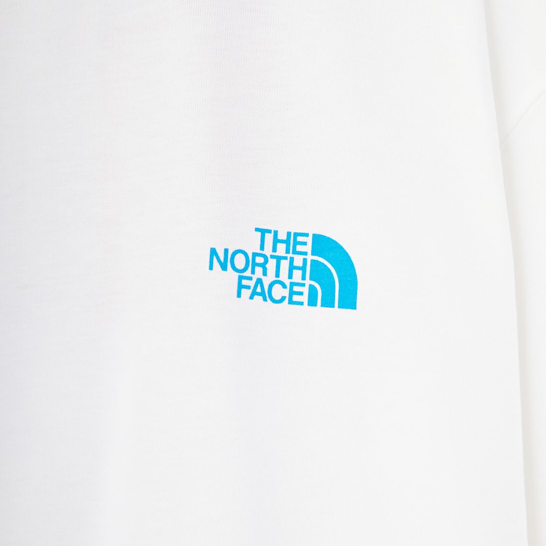 THE NORTH FACE [ザ ノースフェイス] ショートスリーブ フラッシュドライカラースキームコットンTシャツ [NT32548] W