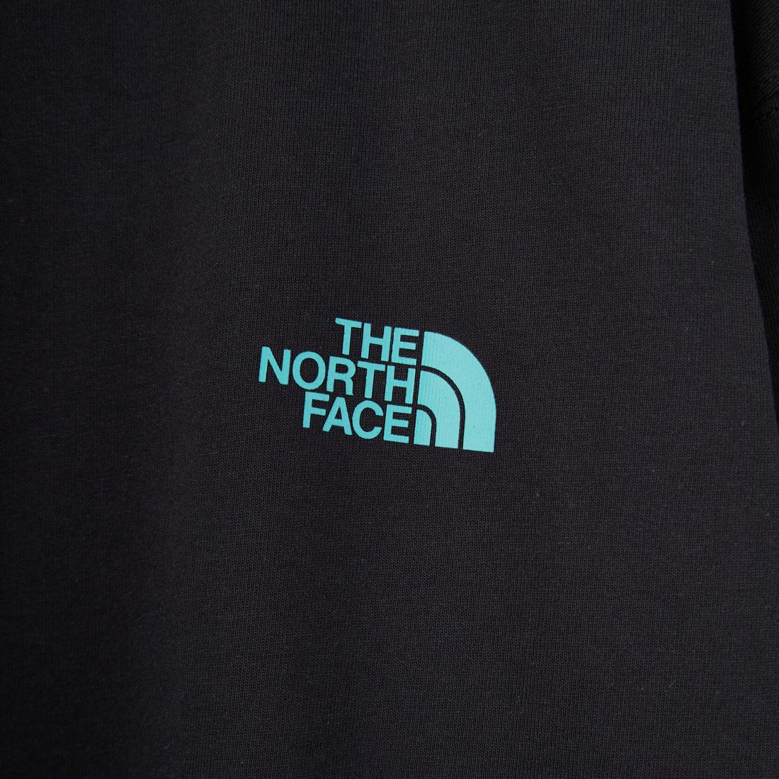 THE NORTH FACE [ザ ノースフェイス] ショートスリーブ フラッシュドライカラースキームコットンTシャツ [NT32548] K