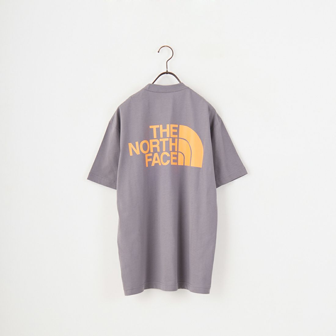 THE NORTH FACE [ザ ノースフェイス] ショートスリーブ フラッシュドライカラースキームコットンTシャツ [NT32548] SP
