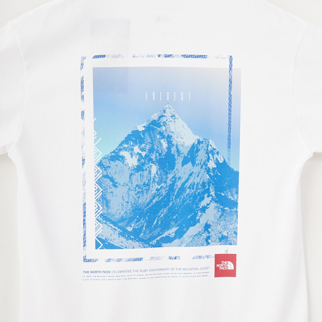 THE NORTH FACE [ザ ノースフェイス] ショートスリーブ フラッシュドライセブンサミットグラフィックTシャツ [NT32544] W