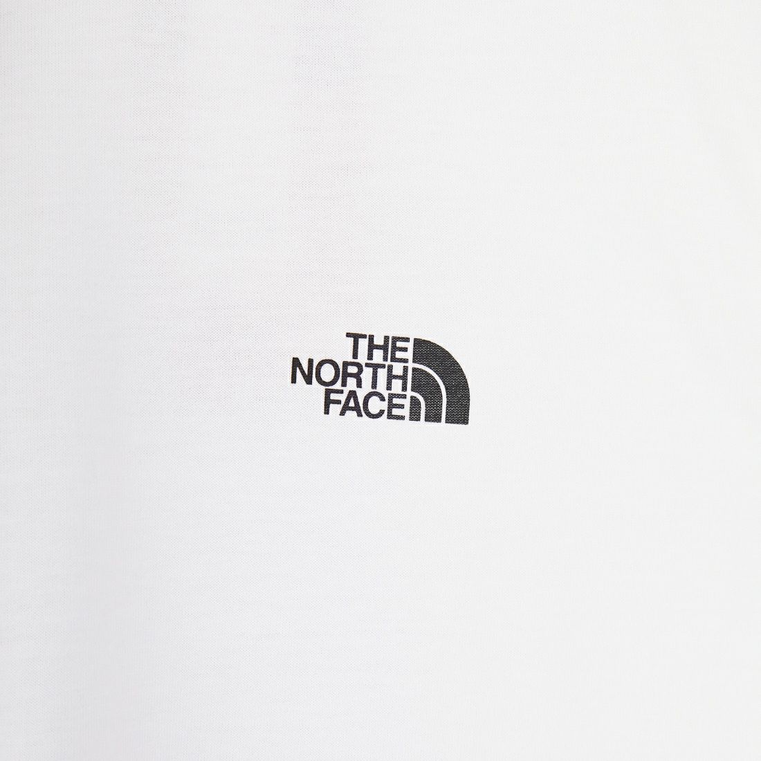 THE NORTH FACE [ザ ノースフェイス] ショートスリーブ フラッシュドライセブンサミットグラフィックTシャツ [NT32544] W