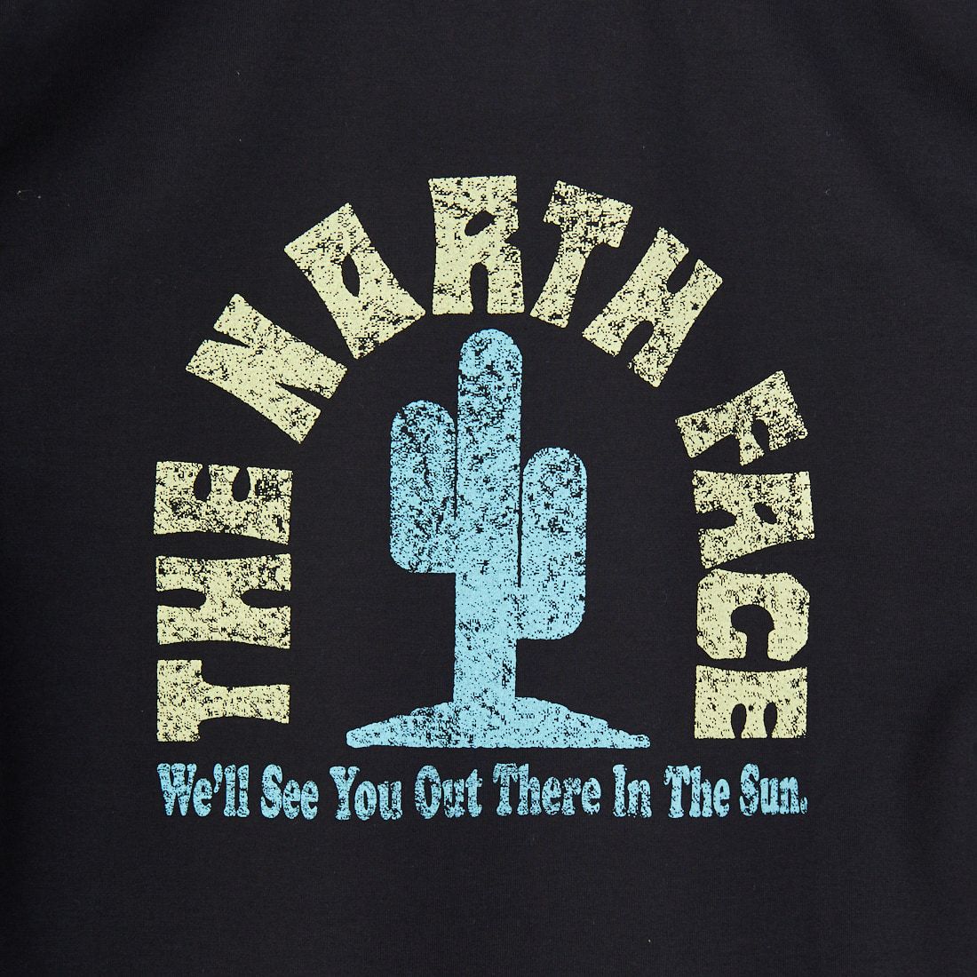 THE NORTH FACE [ザ ノースフェイス] ショートスリーブフラッシュドライカクタスロゴTシャツ [NT32545] K