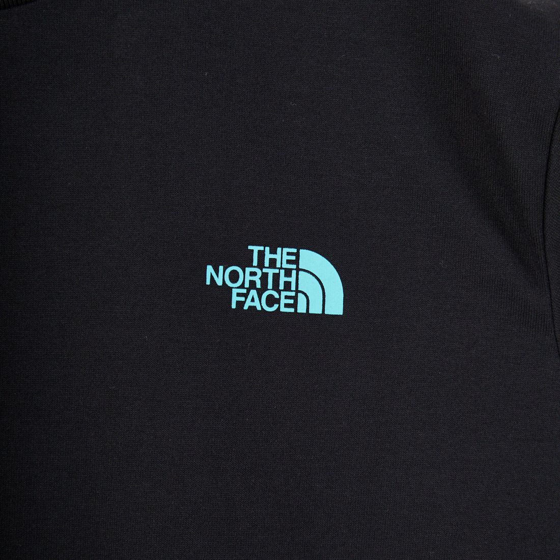 THE NORTH FACE [ザ ノースフェイス] ショートスリーブフラッシュドライカクタスロゴTシャツ [NT32545] K
