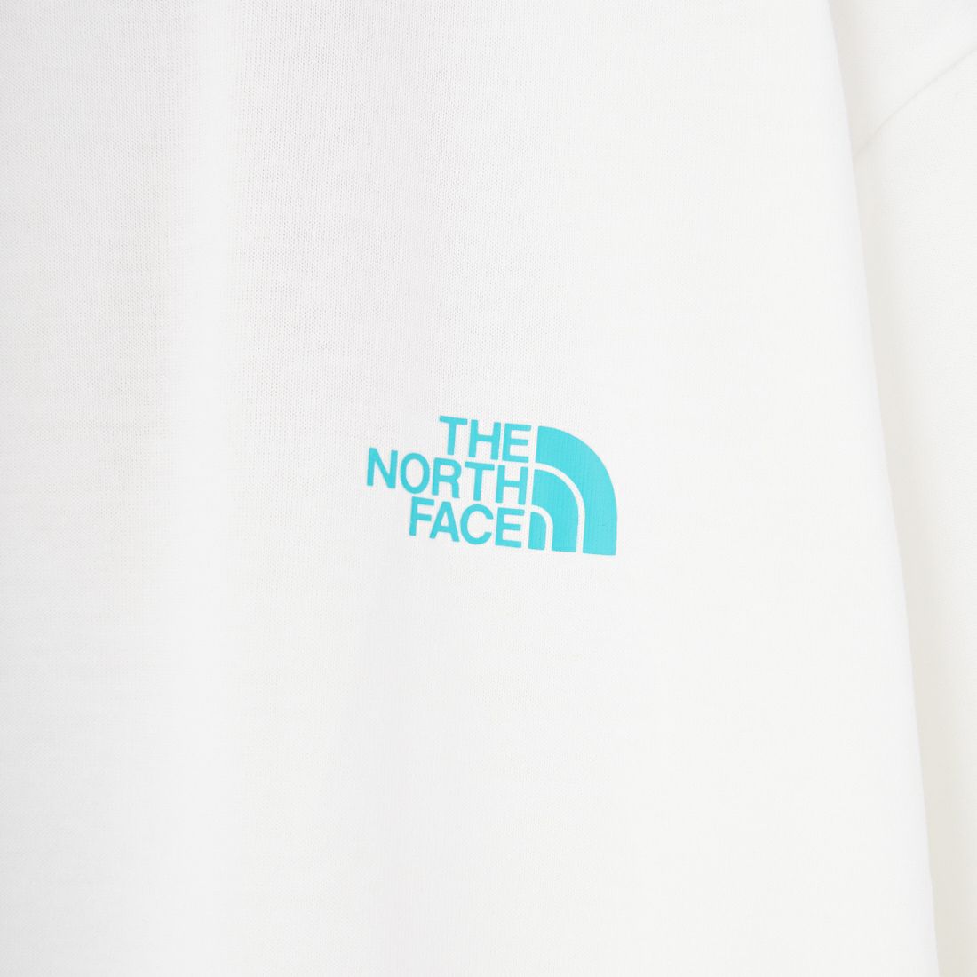 THE NORTH FACE [ザ ノースフェイス] ショートスリーブフラッシュドライカクタスロゴTシャツ [NT32545] W