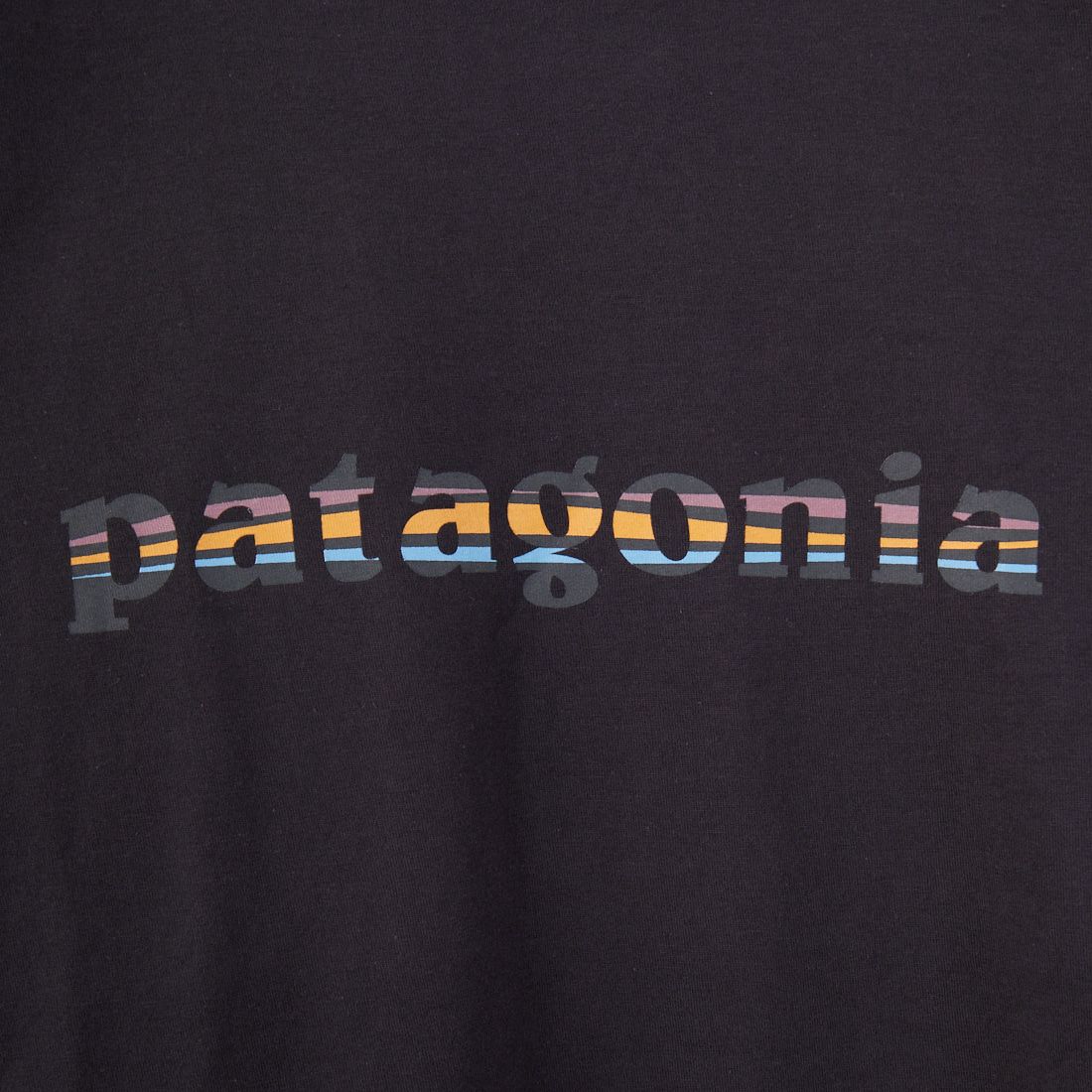 patagonia [パタゴニア] ウィメンズ 73 テキストロゴ オーガニックリンガーTシャツ [37785] INBK