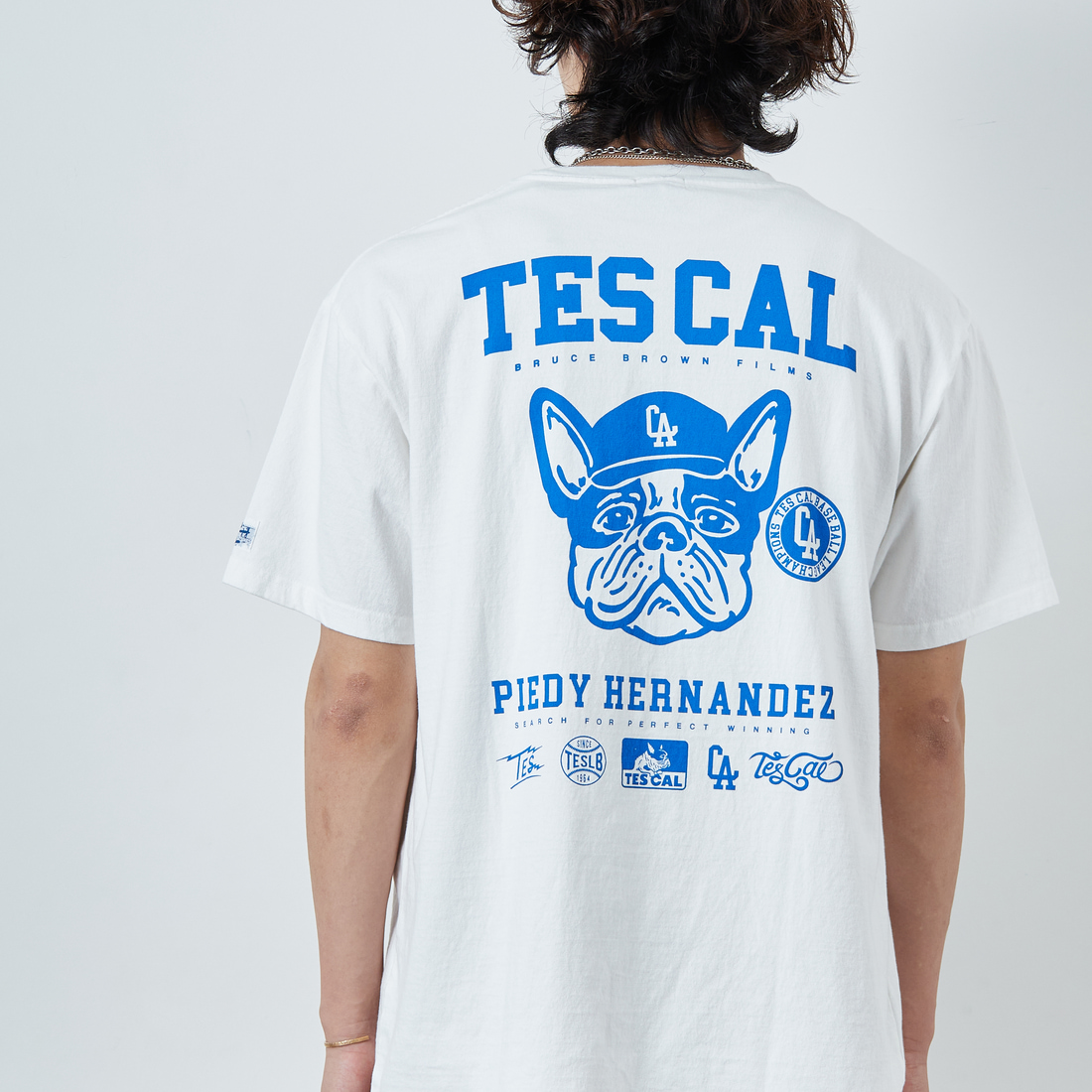 TES -THE ENDLESS SUMMER-(テス/ザエンドレスサマー)/ TES BUHI BOY