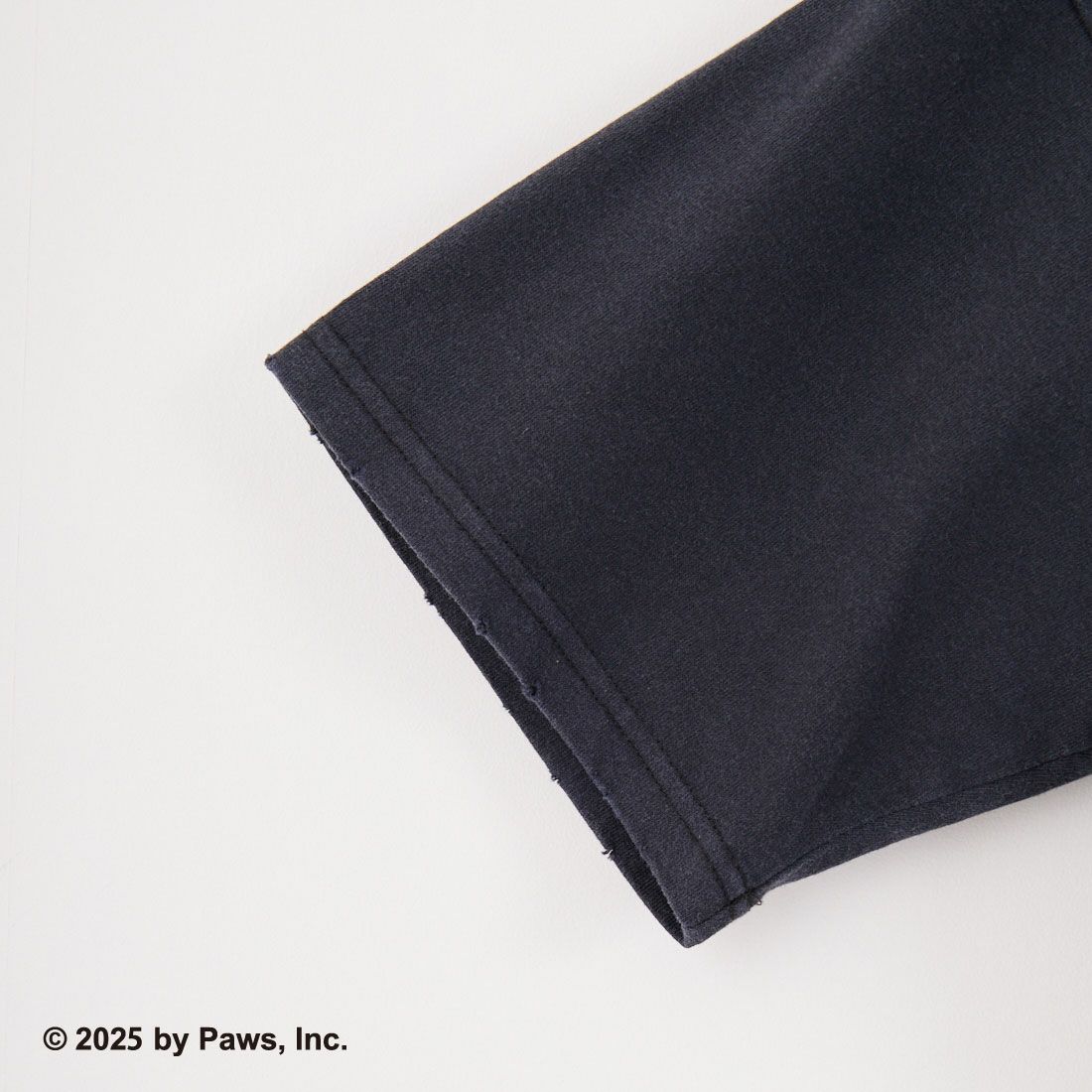 Jeans Factory Clothes [ジーンズファクトリークローズ] GARFILED ダメージキャラクターTシャツ [JFC-252-050] BLACK