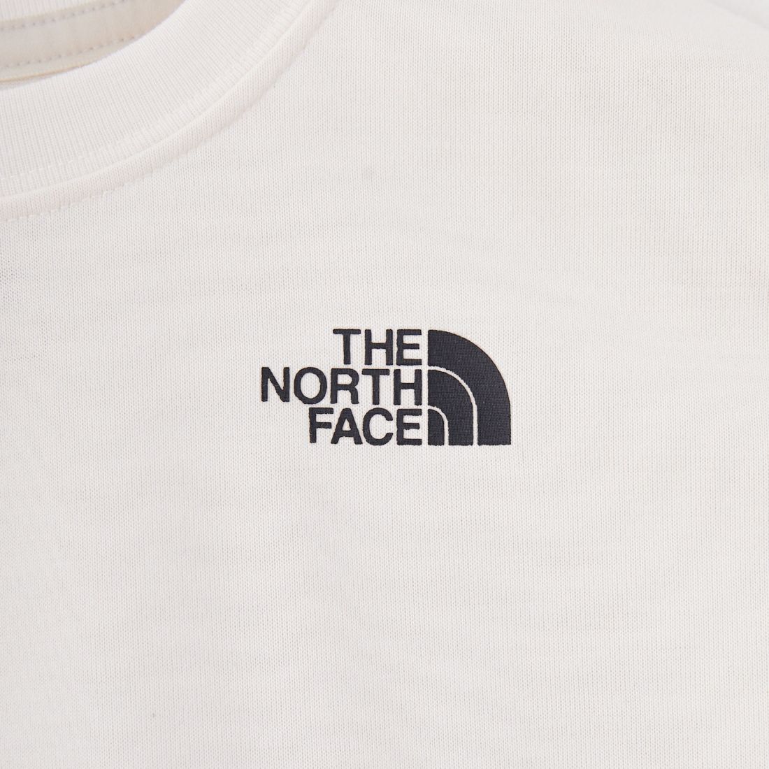 THE NORTH FACE [ザ ノースフェイス] トドラーアドベンチャーTシャツ [NTT32533] WD