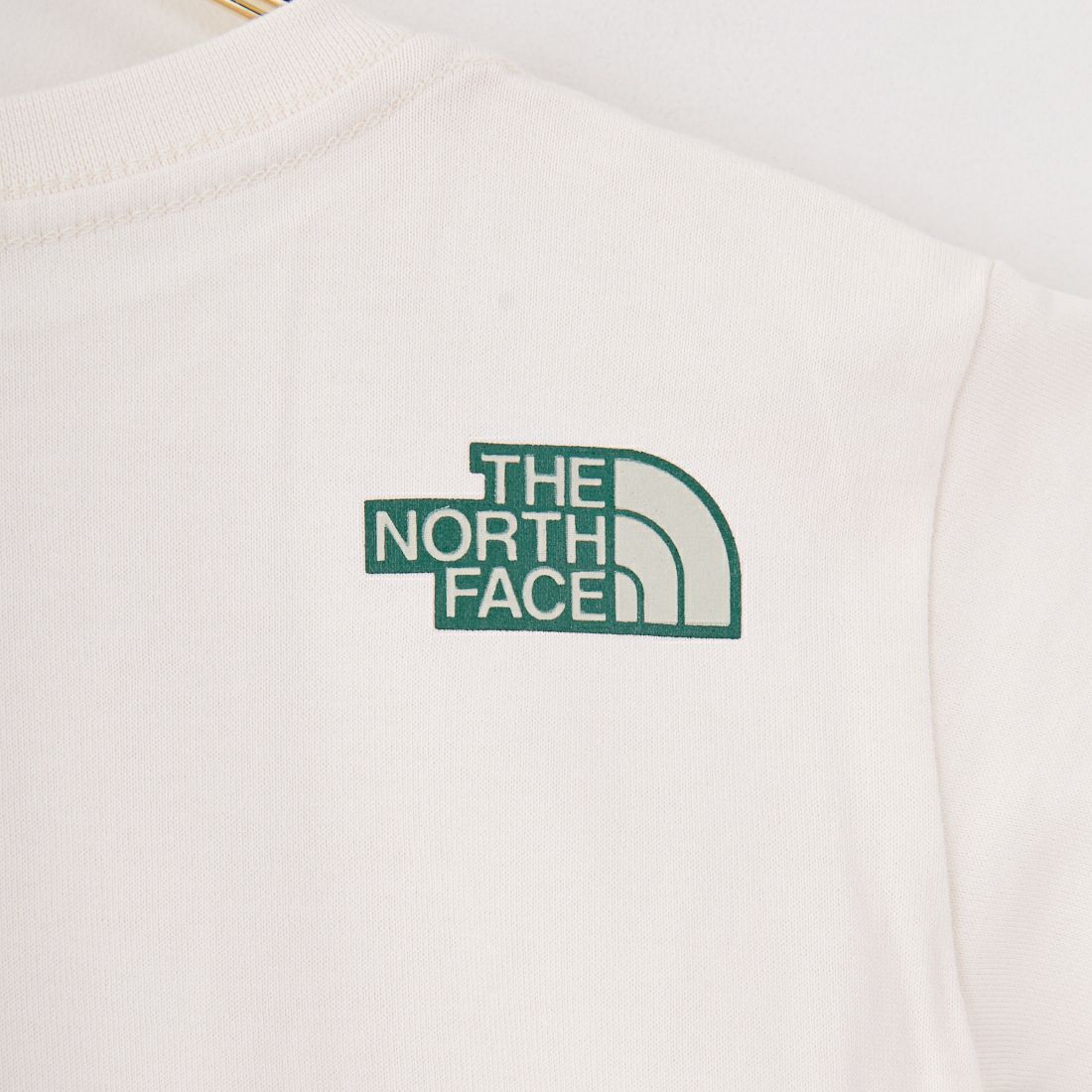 THE NORTH FACE [ザ ノースフェイス] トドラー ショートスリーブルミナスグラフィックTシャツ [NTT32561] WD