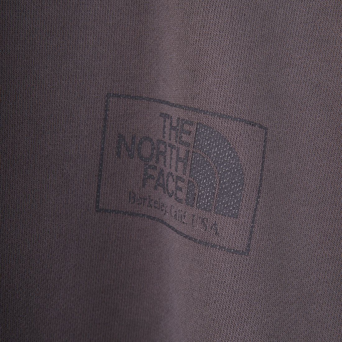 THE NORTH FACE PURPLE LABEL [ザ ノースフェイス パープルレーベル] 11オンスフィールドショートスリーブスウェット [N25SH042] AH AHGRAY