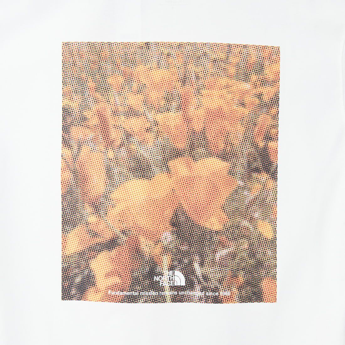 THE NORTH FACE [ザ ノースフェイス] フラッシュドライ ピクセルプラントコットンTシャツ [NT32549] W
