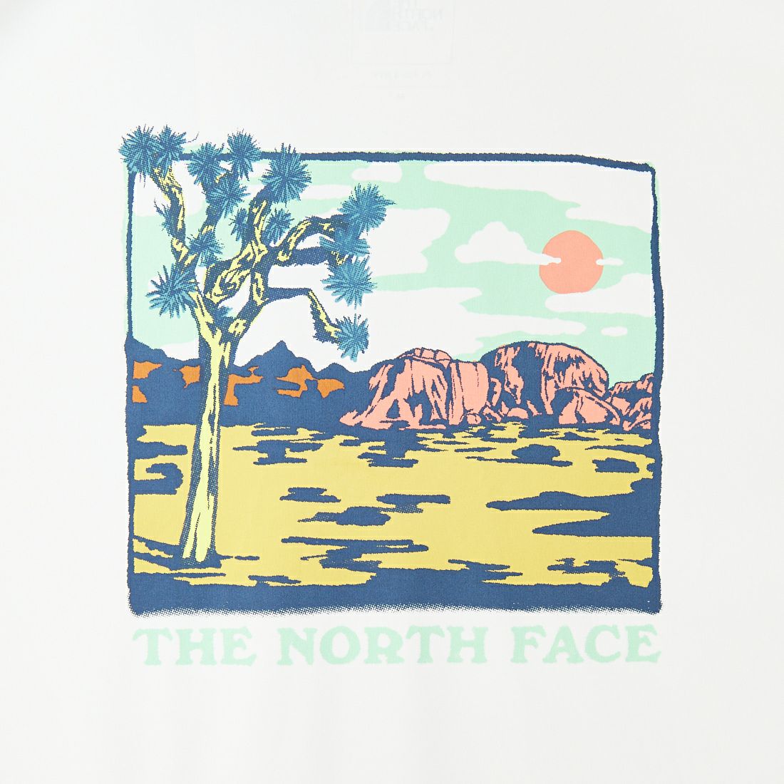 THE NORTH FACE [ザ ノースフェイス] ショートスリーブウォータースムースTシャツ [NT12431] D2