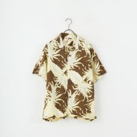 138 BROWN