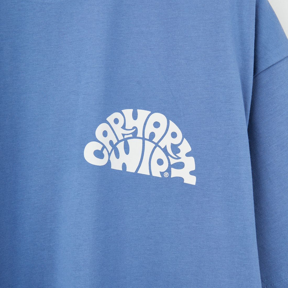 carhartt WIP [カーハートダブリューアイピー] ショートスリーブジャジーTシャツ [I034665] BLUE IRIS/