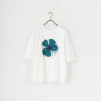 A WHTﾌﾗﾜｰ