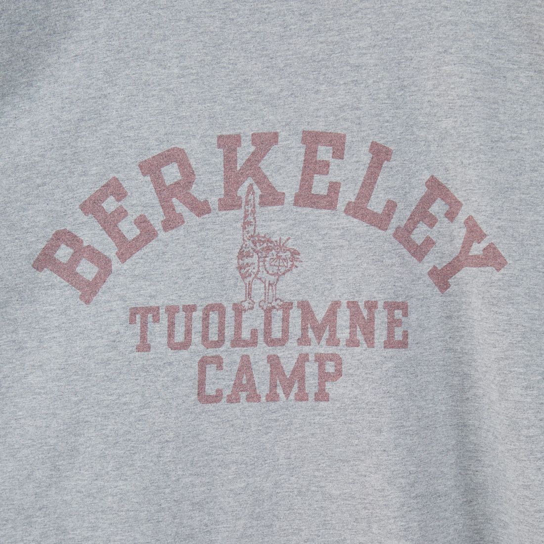 REMI RELIEF [レミレリーフ] 別注 ビッグプリントTシャツ BERKELEY [RN28369310-JF] H.GRAY