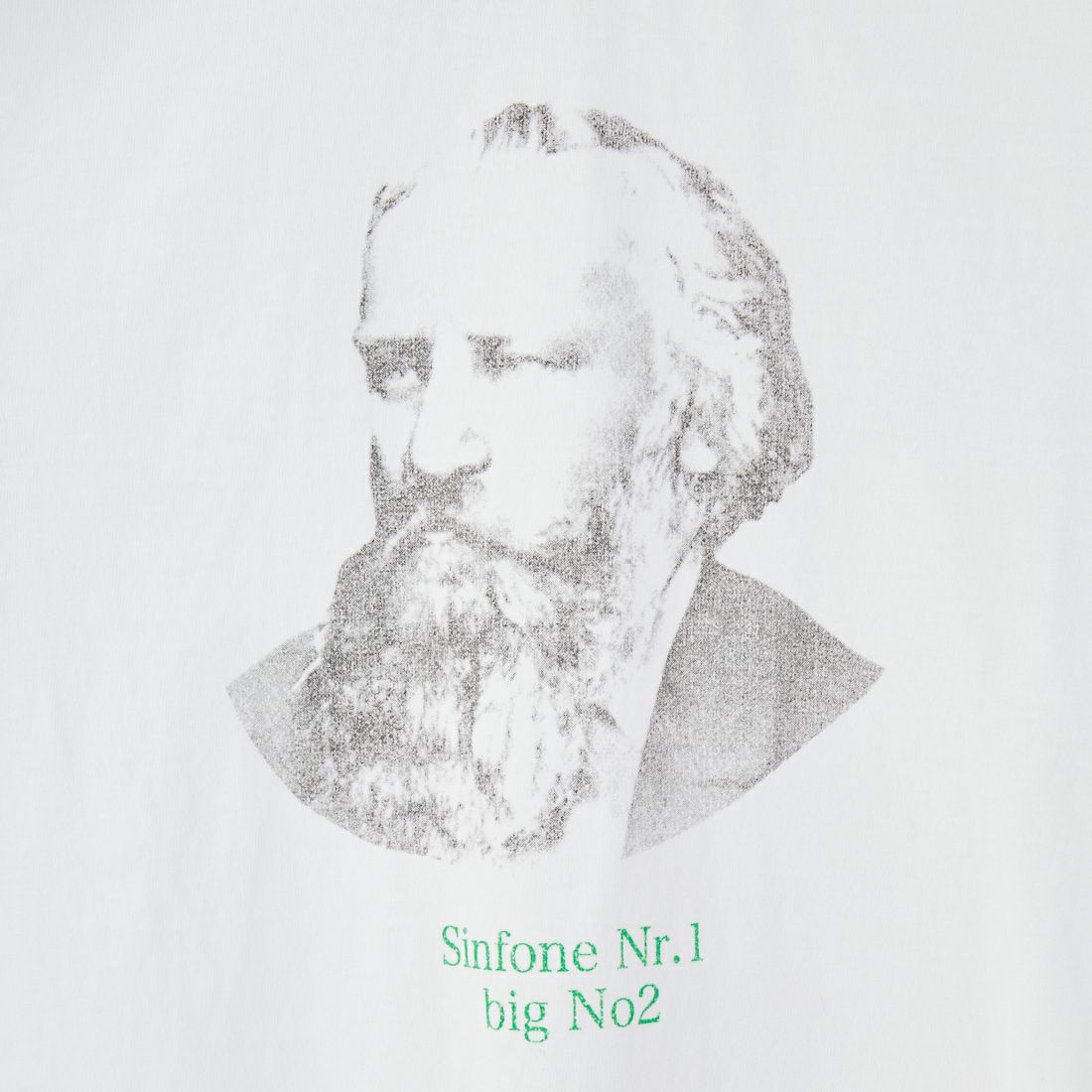 SCREEN STARS [スクリーンスターズ] 別注 コンポーザーズプリントTシャツ [2522-SSBTGRIN-JF] WHITE