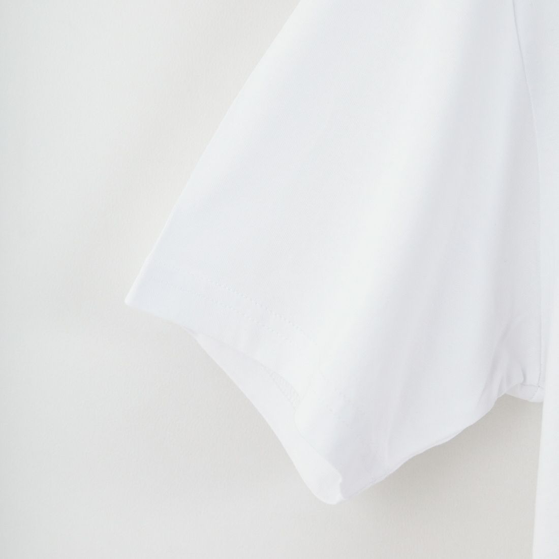 DENHAM [デンハム] ショートスリーブTシャツ [BRIDGE-TEE-LCJ] WHITE