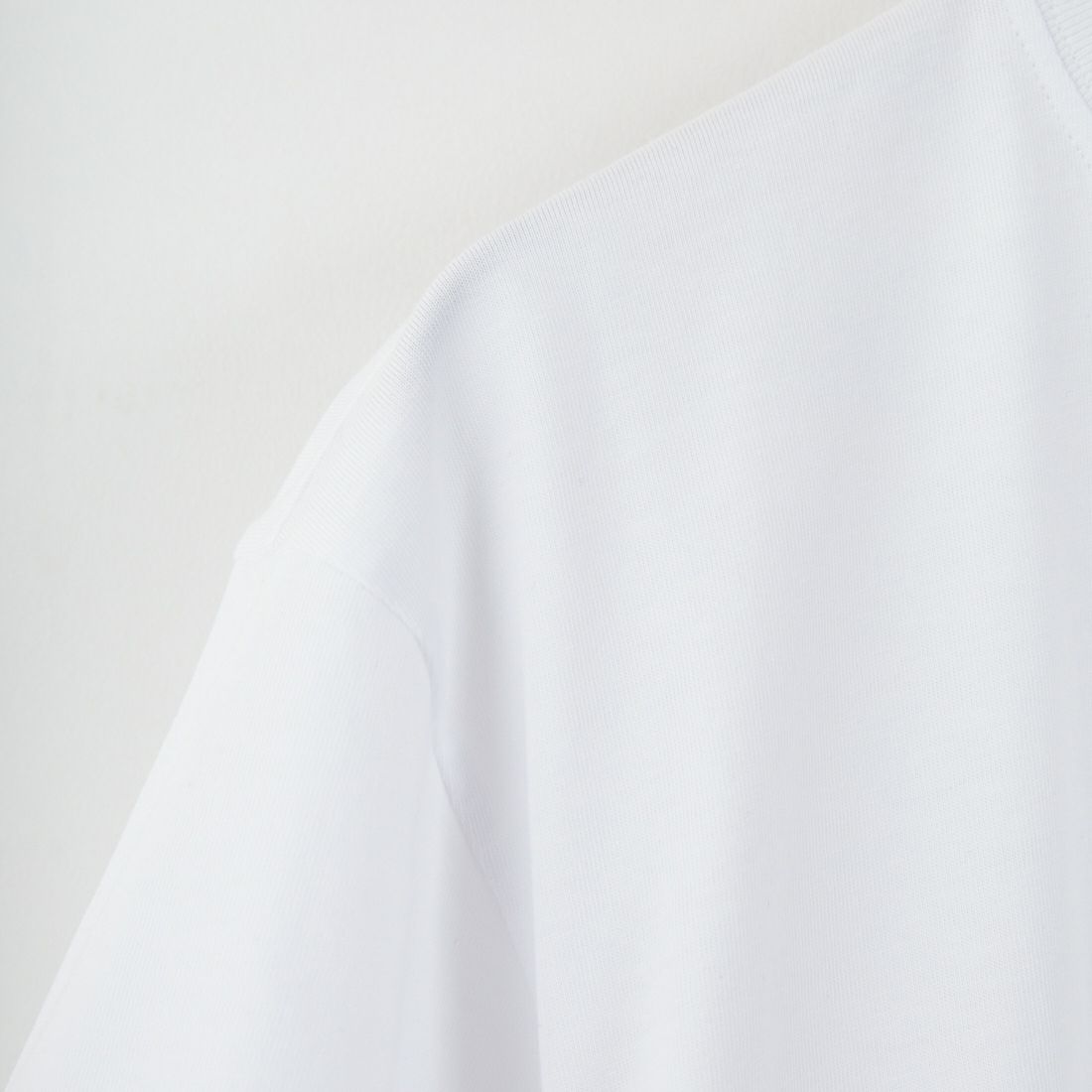 DENHAM [デンハム] ショートスリーブTシャツ [BRIDGE-TEE-LCJ] WHITE