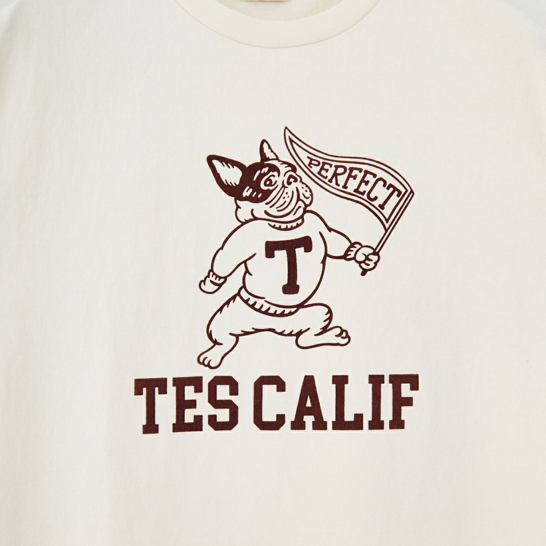 The Endless Summer [エンドレスサマー] カレッジロゴ フロッキープリントTシャツ [FH-25574337] 05 IVORY