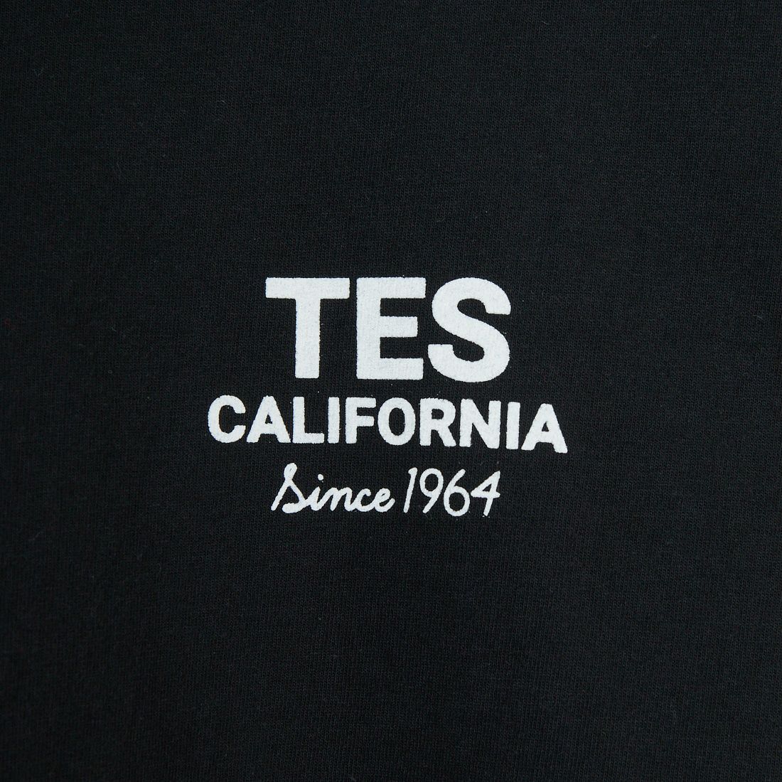 The Endless Summer [エンドレスサマー] 別注 BUHI HUNTINGTON バックプリントTシャツ [FH-25574515-JF] BLACK