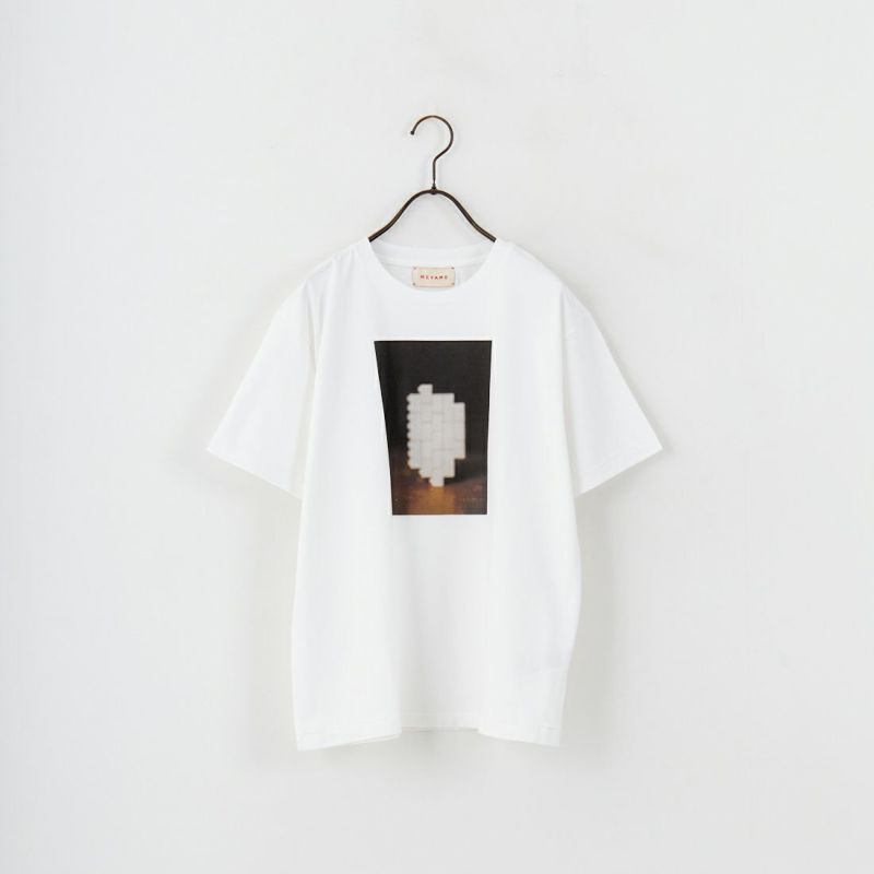 2025最新作】 HOLIDAY SUPER FINE DRY ショートスリーブ BIG T