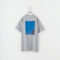 06 GRAY