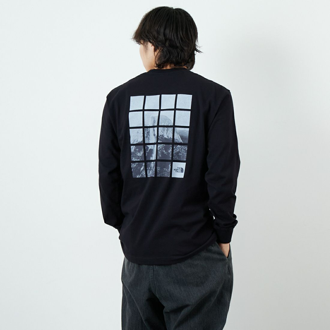 THE NORTH FACE [ザ ノースフェイス] ロングスリーブ ハーフドームウィンドウTシャツ [NT82546]