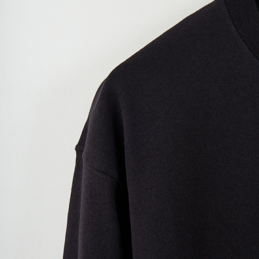 THE NORTH FACE [ザ ノースフェイス] ロングスリーブ ハーフドームウィンドウTシャツ [NT82546] K